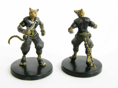 Tabaxi Hunter - Tomb of Annihilation - 21b/45